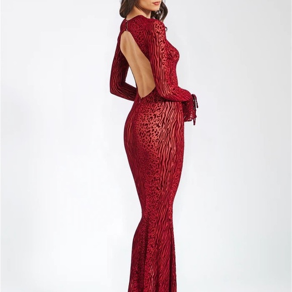 Miss Circle Waylynn Burgundy Burnout VelvetDetail Mesh Backless Maxi Dress - Picture 4 of 7
